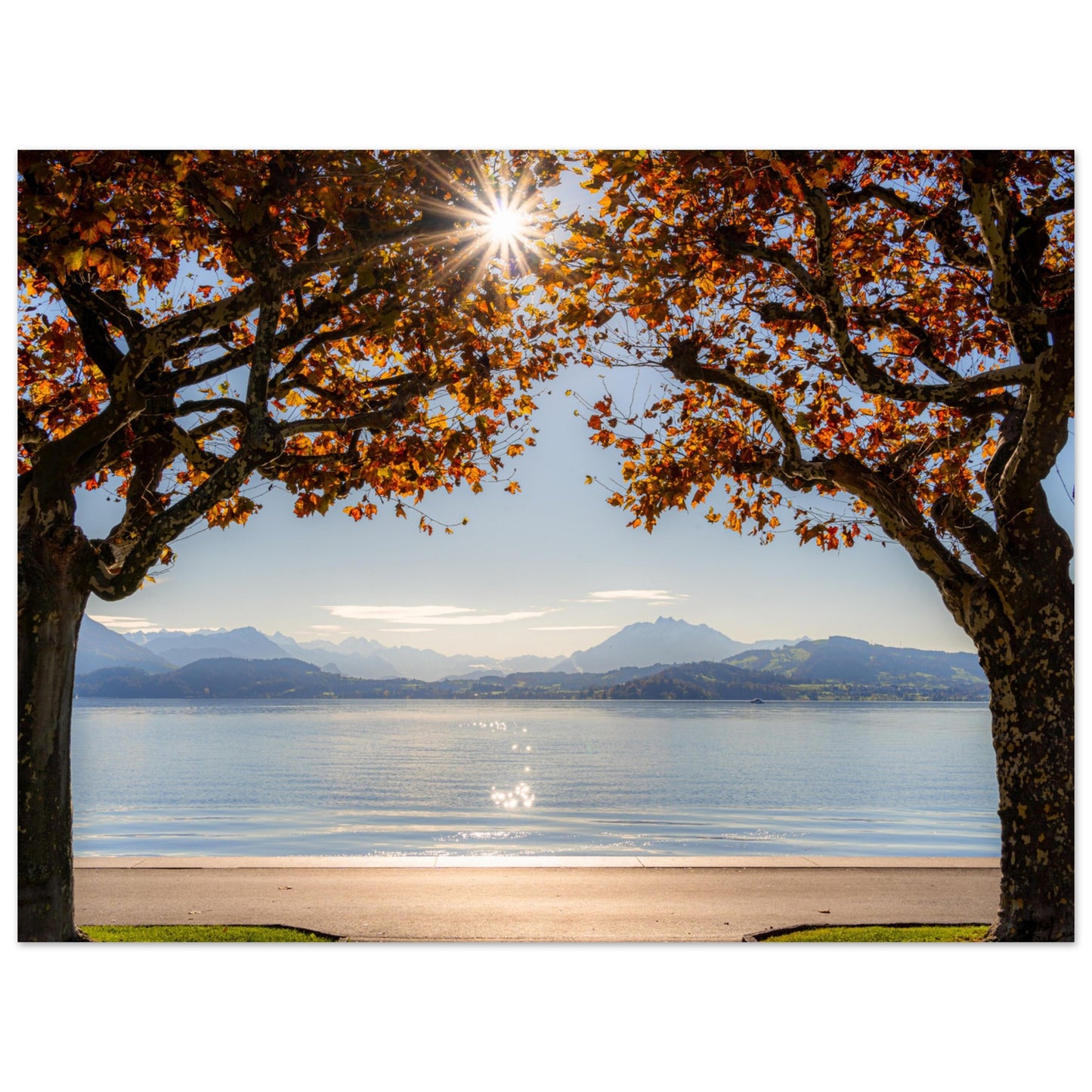 Autumn on Lake Zug with sun rays as a forex print