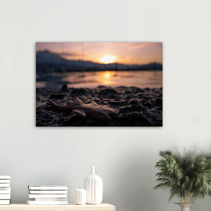 Brown Leaf in Sunset Premium Poster