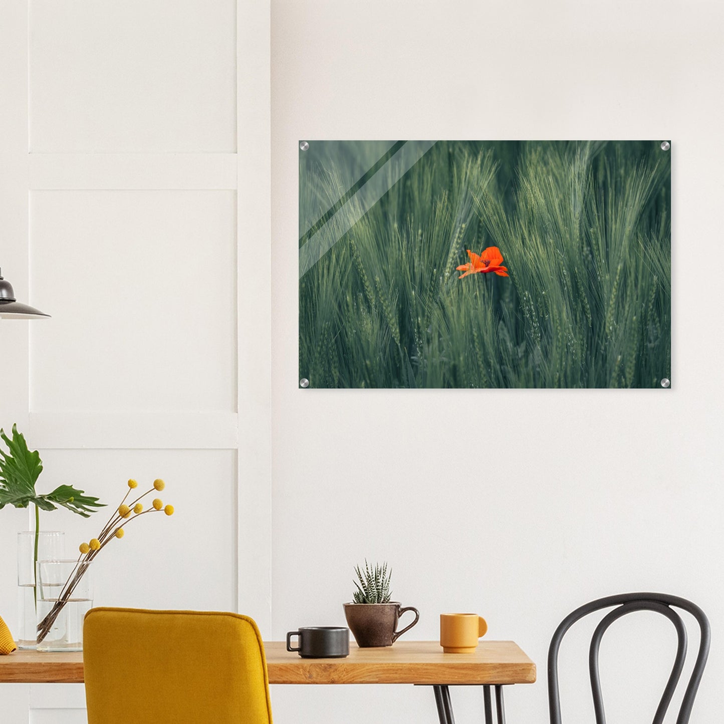 Red Flower in Green Wheat Field - Acrylic Glass Print