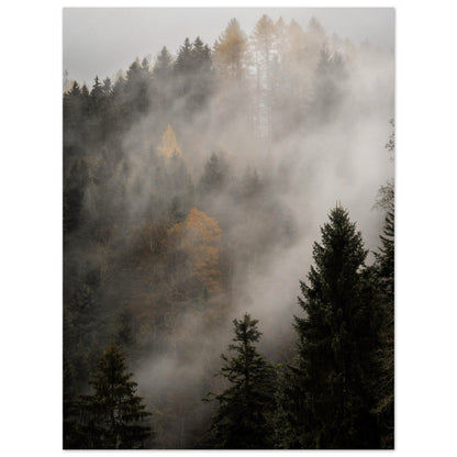 Nebel über dem Wald - Premium Poster