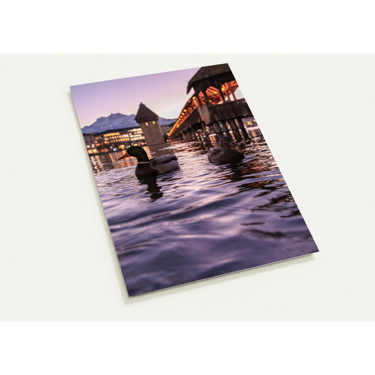 Harmony in winter light, ducks, chapel bridge and snow-covered Pilatus - set of 10 postcards with envelopes