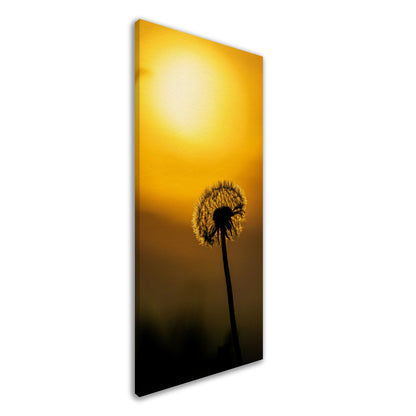 Dark dandelion canvas