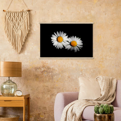 Two radiant daisies, premium poster made of museum-quality matt paper with wooden strips