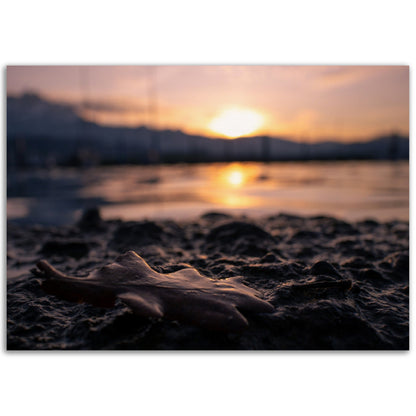 Brown Leaf in Sunset Premium Poster