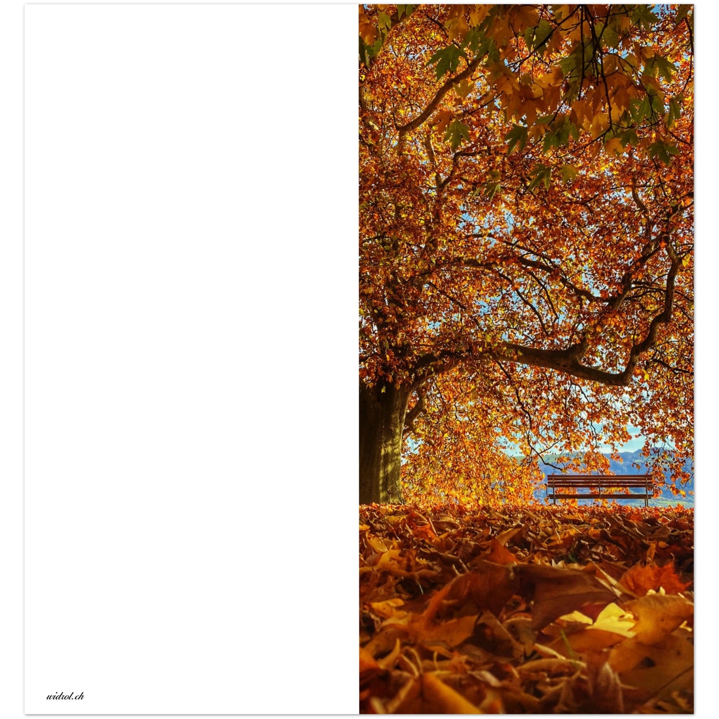 Autumn mood in Villettepark folding cards, set of 10 greeting cards and envelopes 