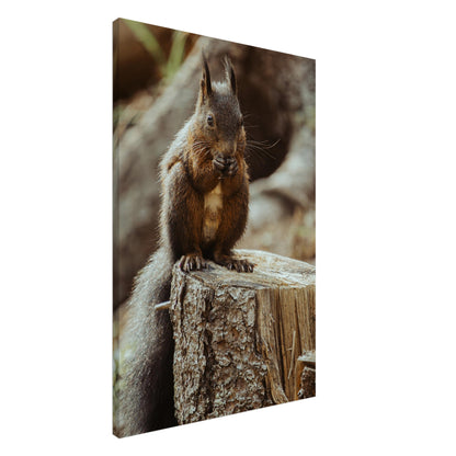 Squirrel in the forest - canvas