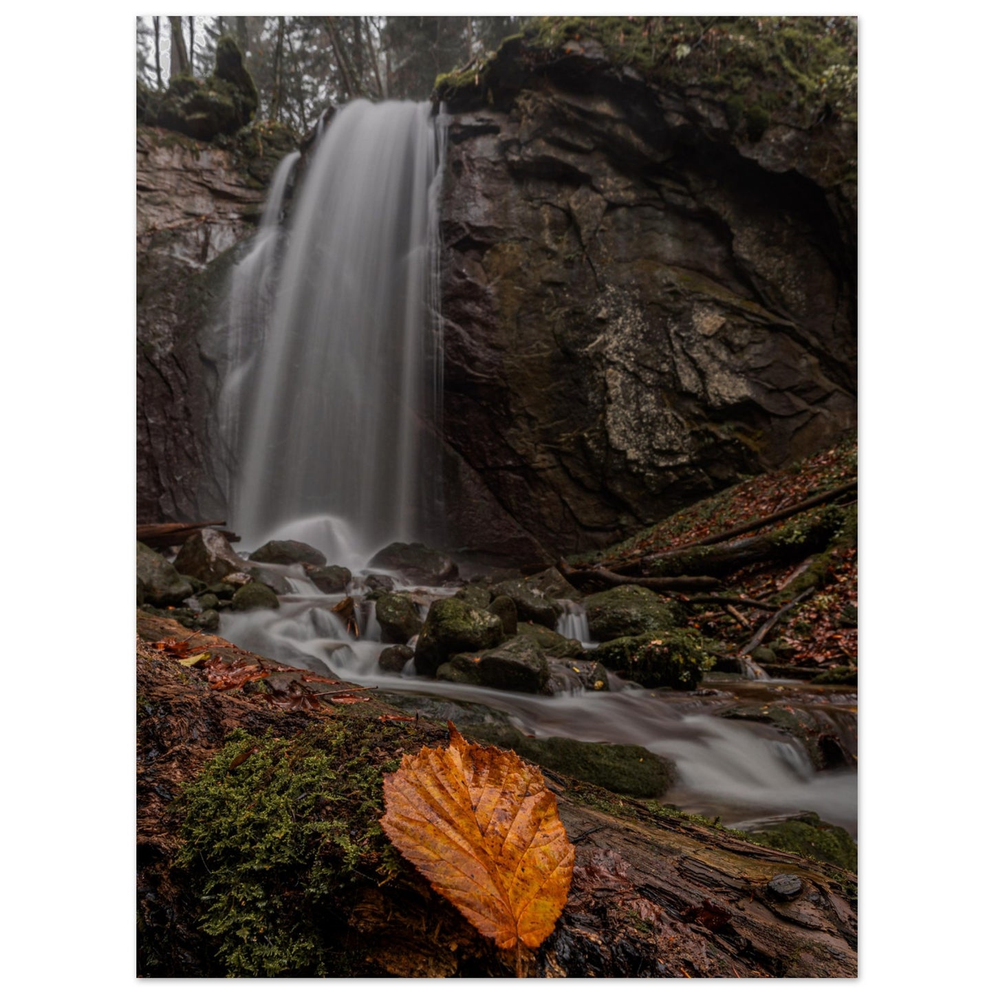 Herbstblatt am Wasserfall - Premium Poster