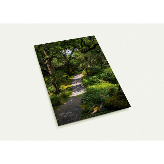 Forest path in the countryside - set of 10 postcards with envelopes 