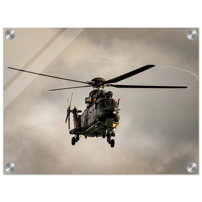 Super Puma - acrylic print 