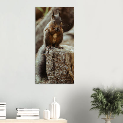 Squirrel in the forest - canvas