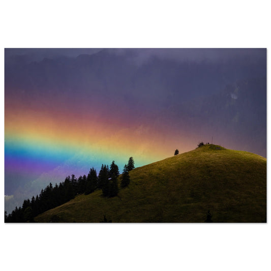 Regenbogen Poster Premium