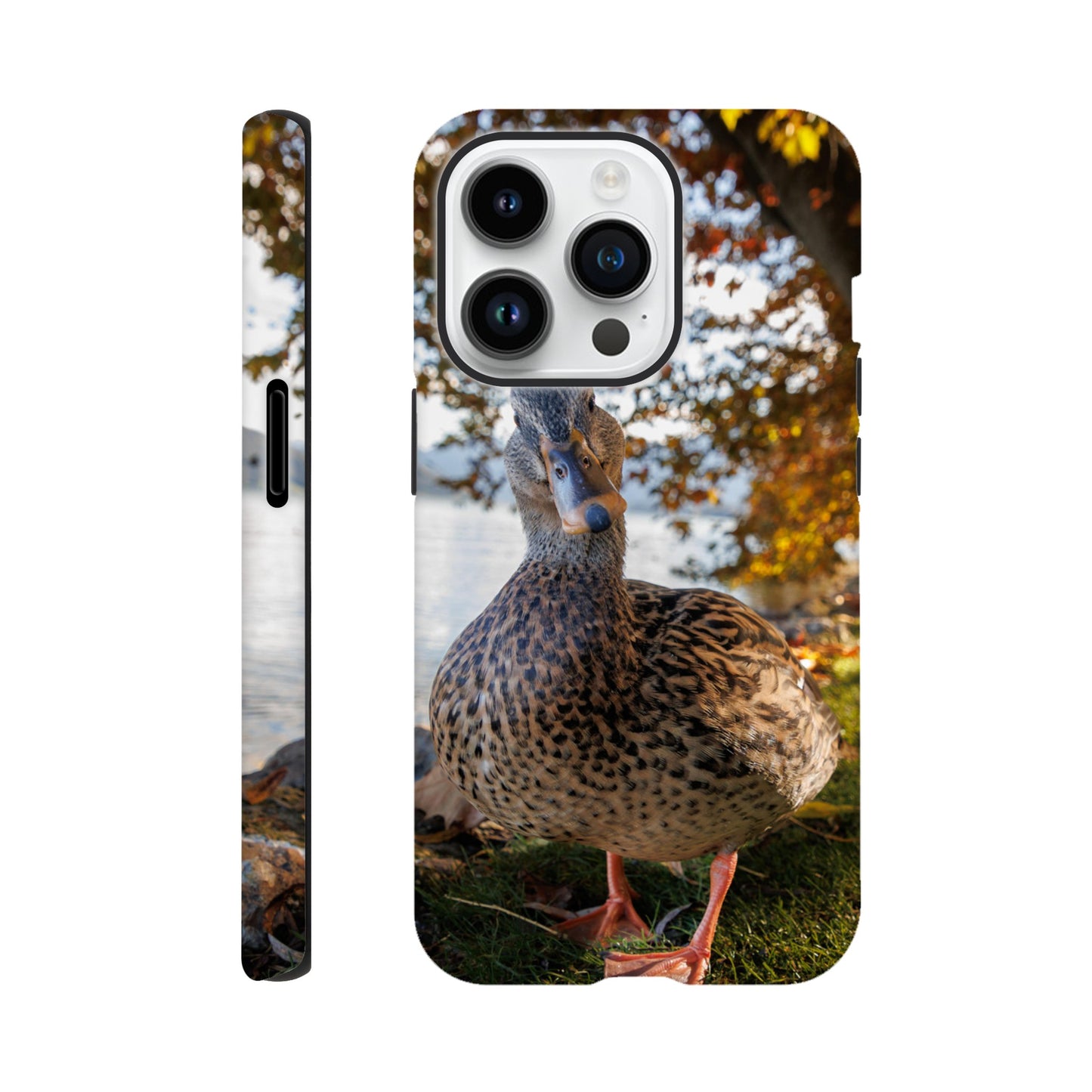 Autumnal duck idyll hard shell case mobile phone case for iPhone and Samsung 