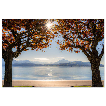 Autumn on Lake Zug with sun rays as a forex print