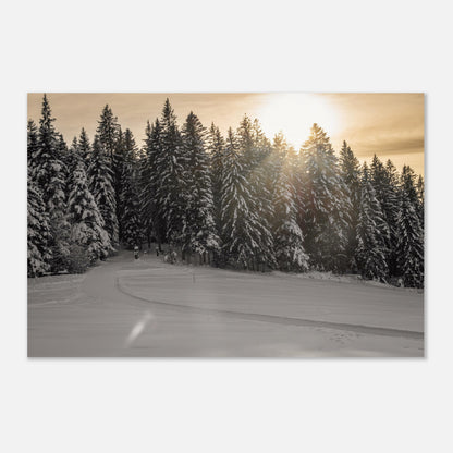 Sun rays over snowy forest - Premium Poster 