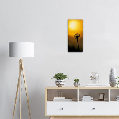 Dark dandelion canvas