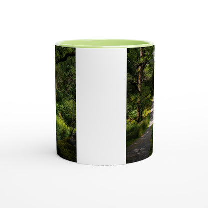 Forest path in the countryside ceramic mug - various colors