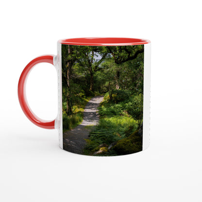 Forest path in the countryside ceramic mug - various colors