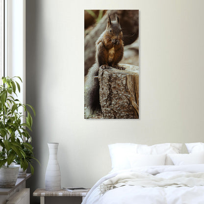 Squirrel in the forest - canvas
