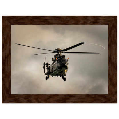 Super Puma - Poster on museum quality matte paper with wooden frame