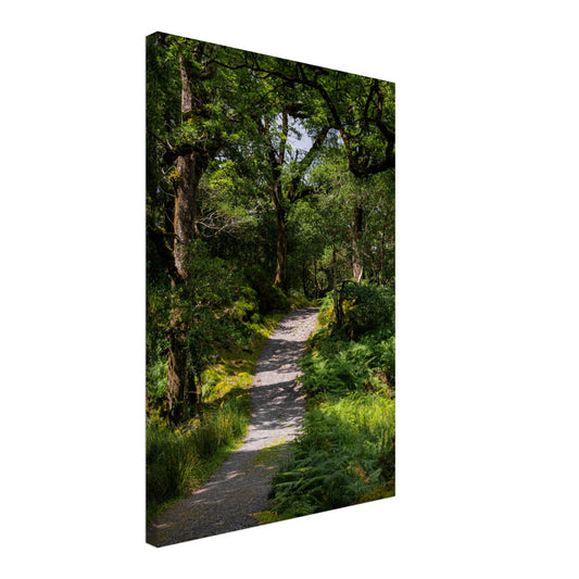 Forest path in the countryside - canvas 