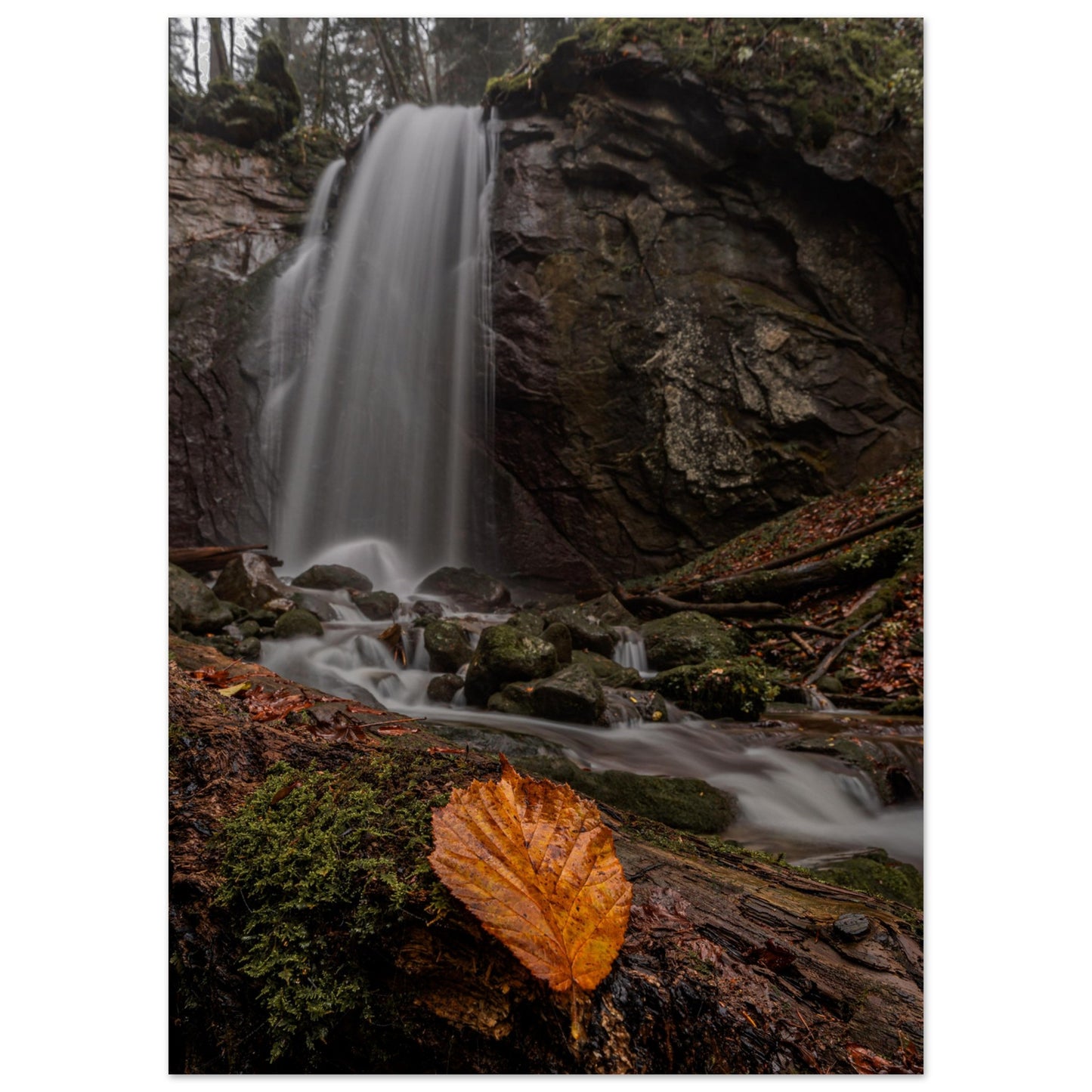 Herbstblatt am Wasserfall - Premium Poster