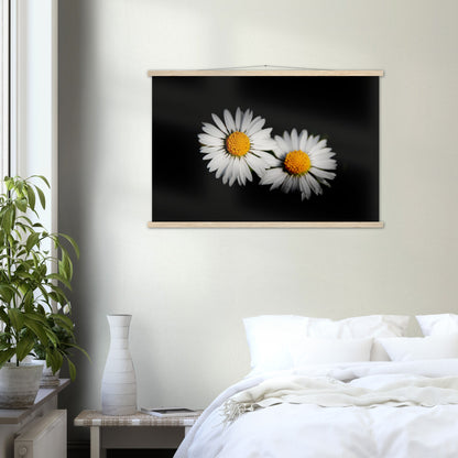 Two radiant daisies, premium poster made of museum-quality matt paper with wooden strips