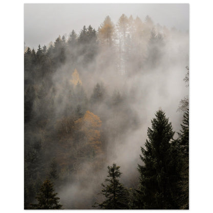 Nebel über dem Wald - Premium Poster