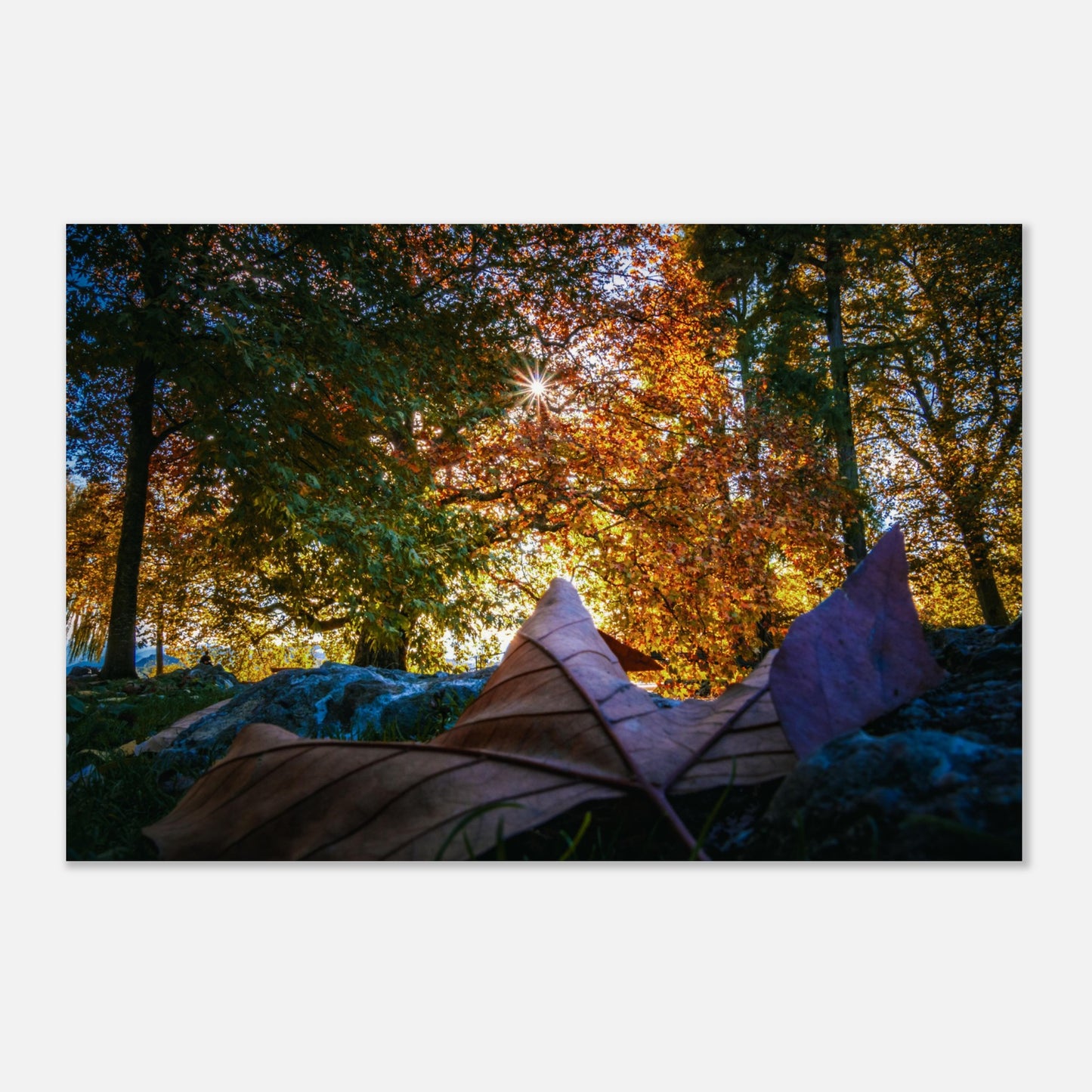 Autumnal premium poster