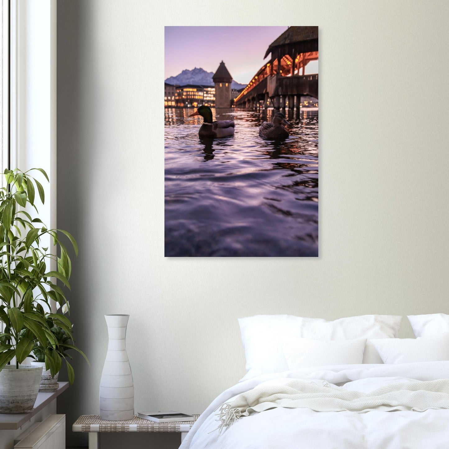 Harmony in winter light, ducks, Chapel Bridge and snowy Pilatus Forex print