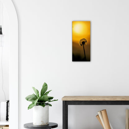 Dark dandelion canvas