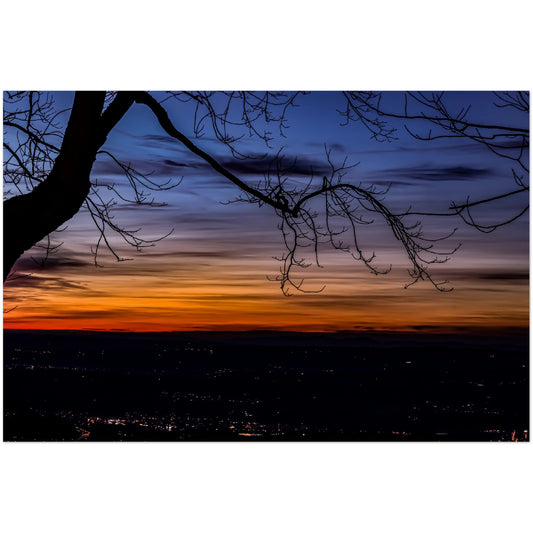 Magischer Sonnenuntergang: Ein Baum im Abendlicht, Premium Poster