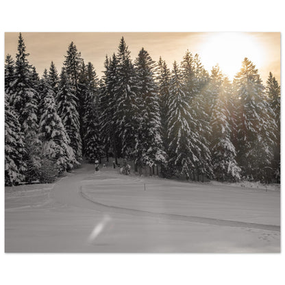 Sun rays over snowy forest as forex pressure