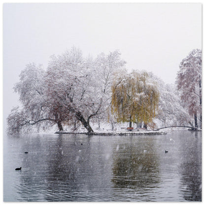 Schneefall im Villettepark Premium Poster