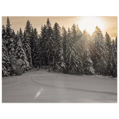 Sun rays over snowy forest - Premium Poster 