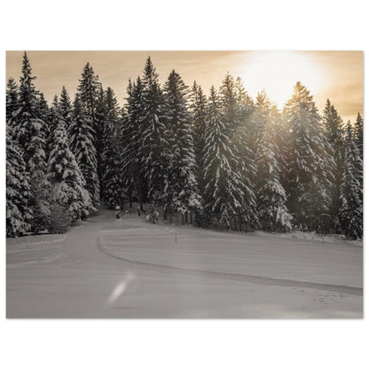 Sun rays over snowy forest - Premium Poster 