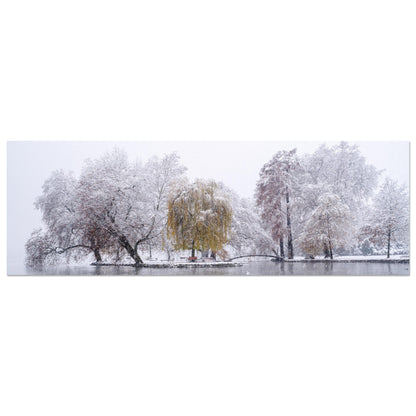 Snowfall in Villettepark as Forex pressure