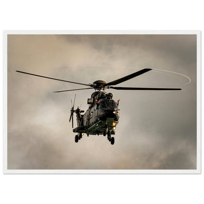 Super Puma - Poster on museum quality matte paper with wooden frame