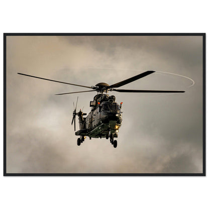 Super Puma - Poster on museum quality matte paper with wooden frame