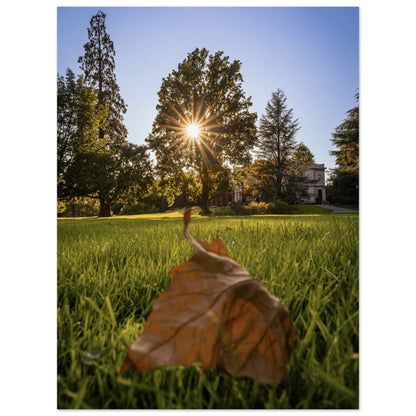 Autumn leaf in Villettepark - Premium Poster 