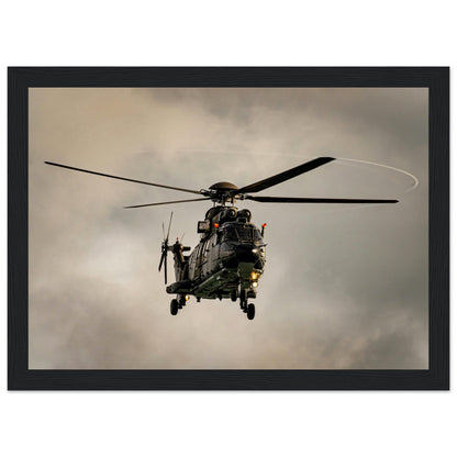 Super Puma - Poster on museum quality matte paper with wooden frame