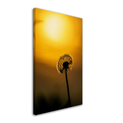 Dark dandelion canvas