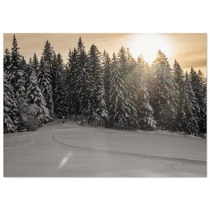 Sun rays over snowy forest - Premium Poster 