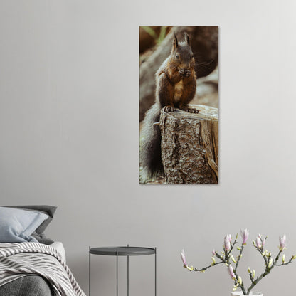 Squirrel in the forest - canvas