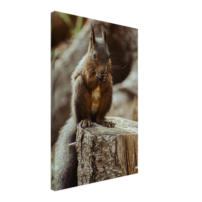 Squirrel in the forest - canvas