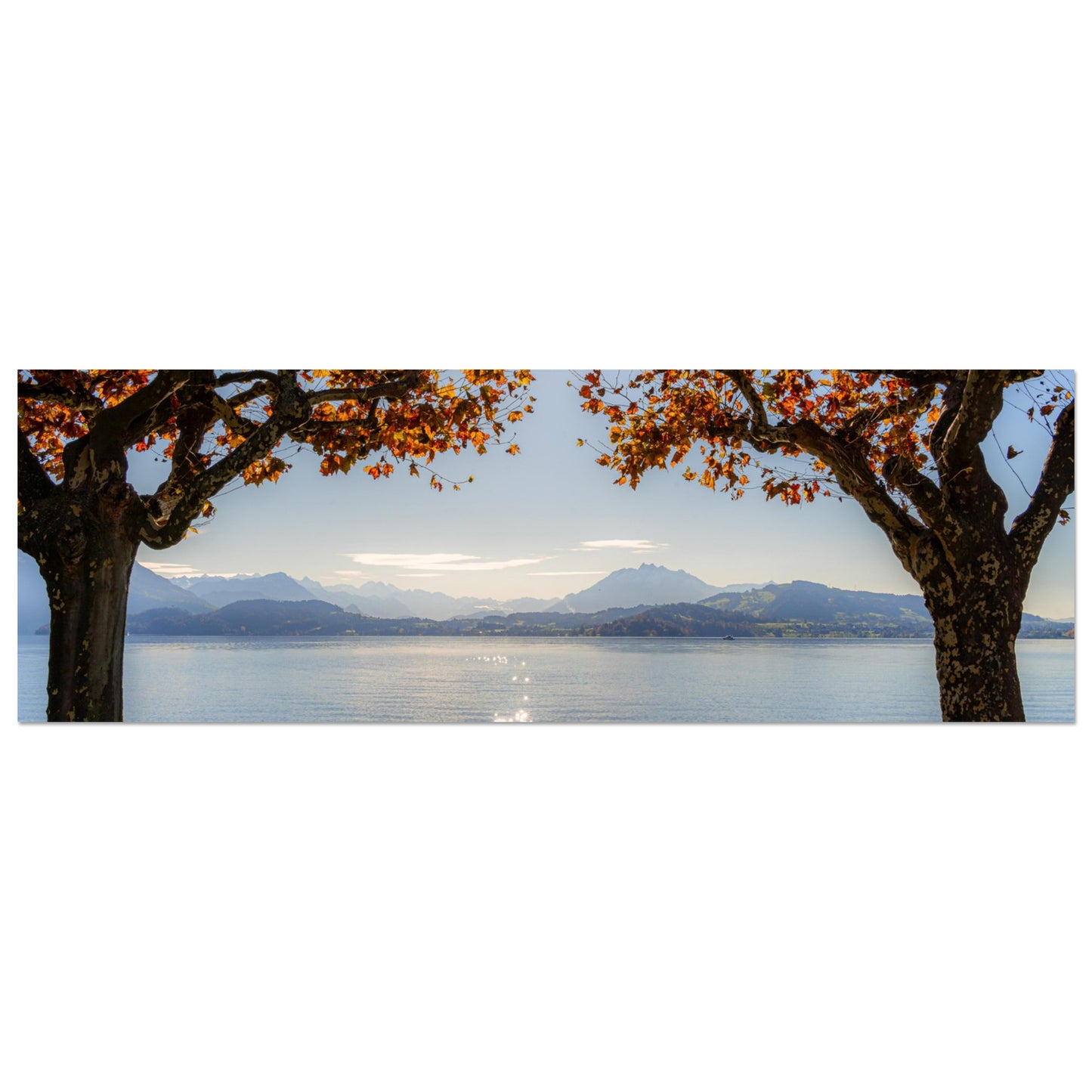 Autumn on Lake Zug with sun rays as a forex print
