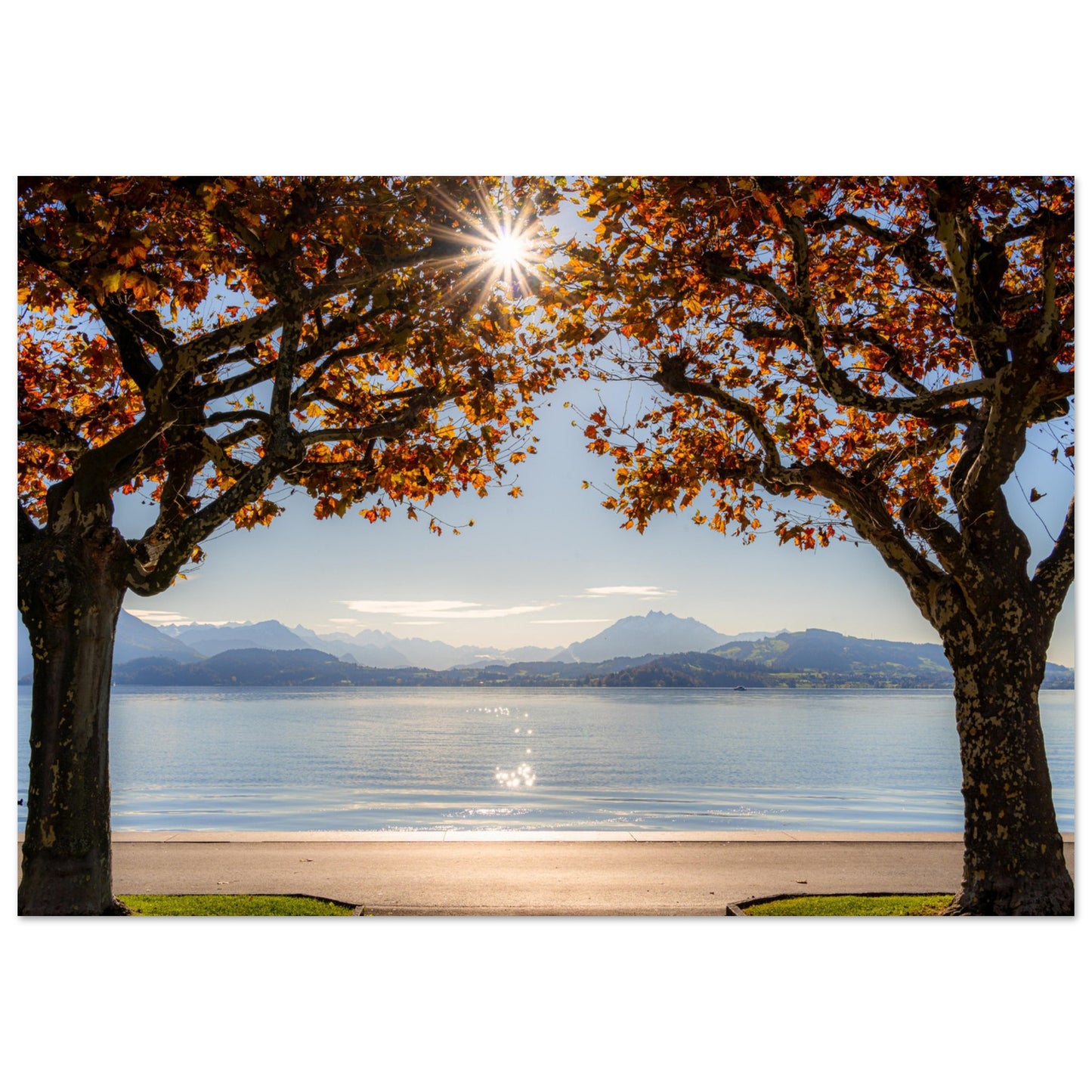 Autumn on Lake Zug with sun rays as a forex print