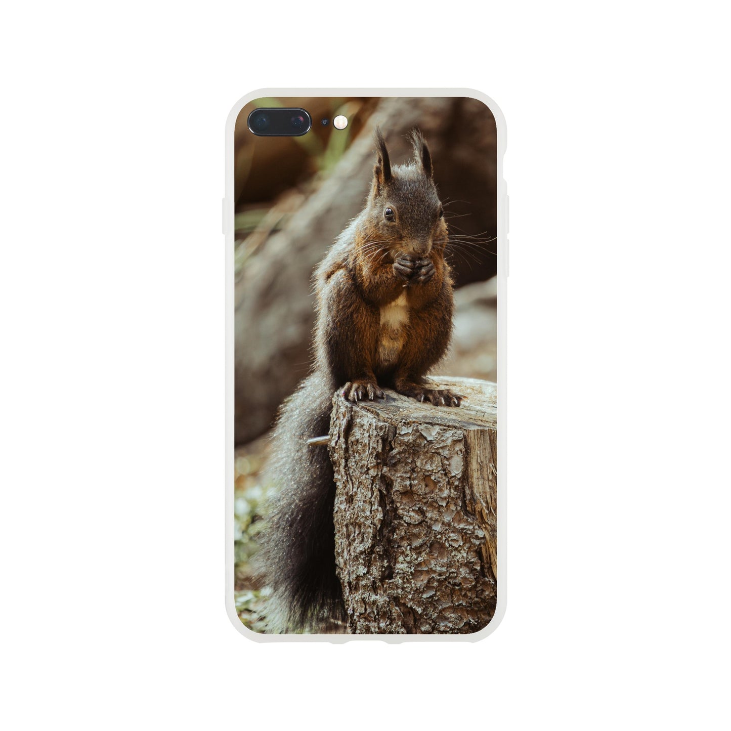 Eichhörnchen im Wald : Flexi-Case Handyhülle für iPhone und Samsung