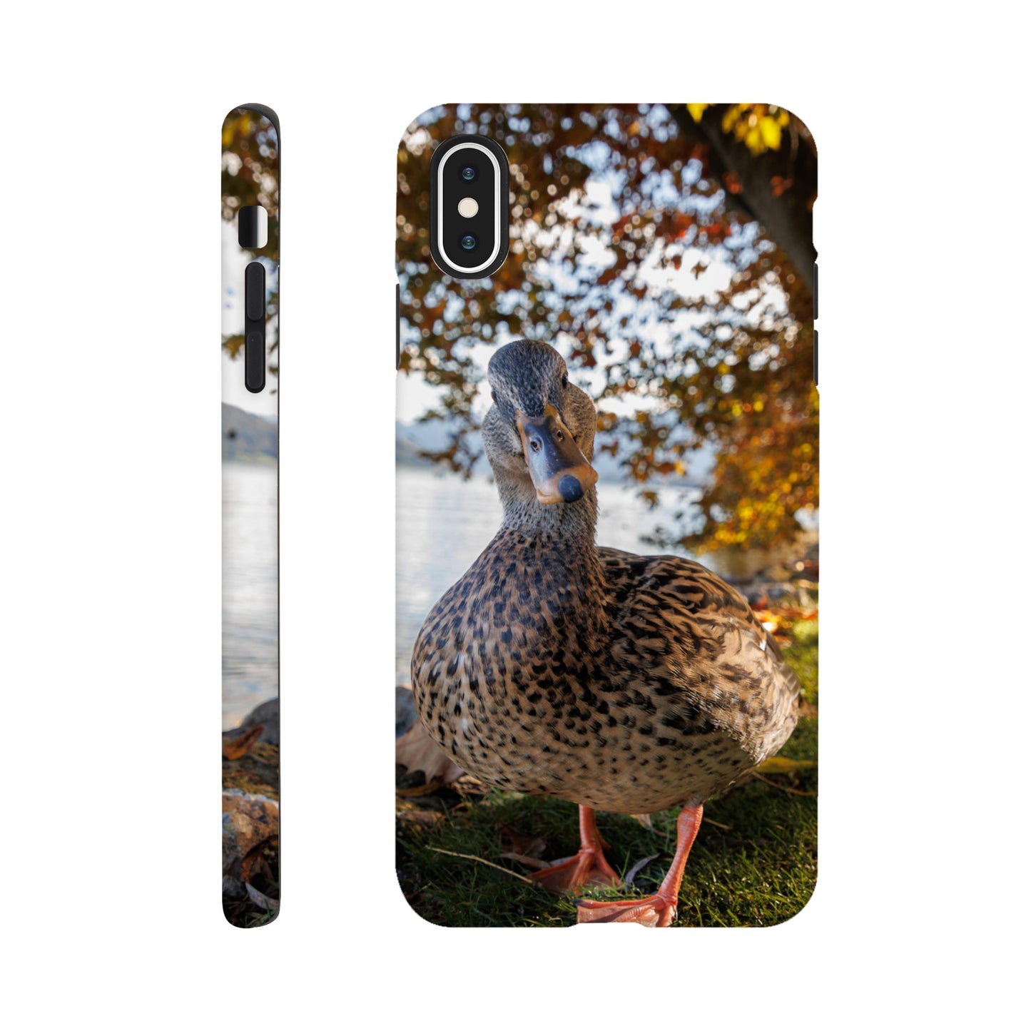 Autumnal duck idyll hard shell case mobile phone case for iPhone and Samsung 