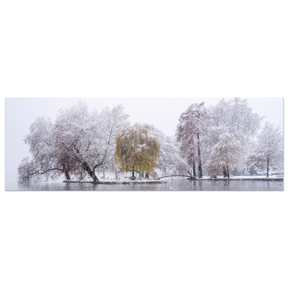 Snowfall in Villettepark as Forex pressure