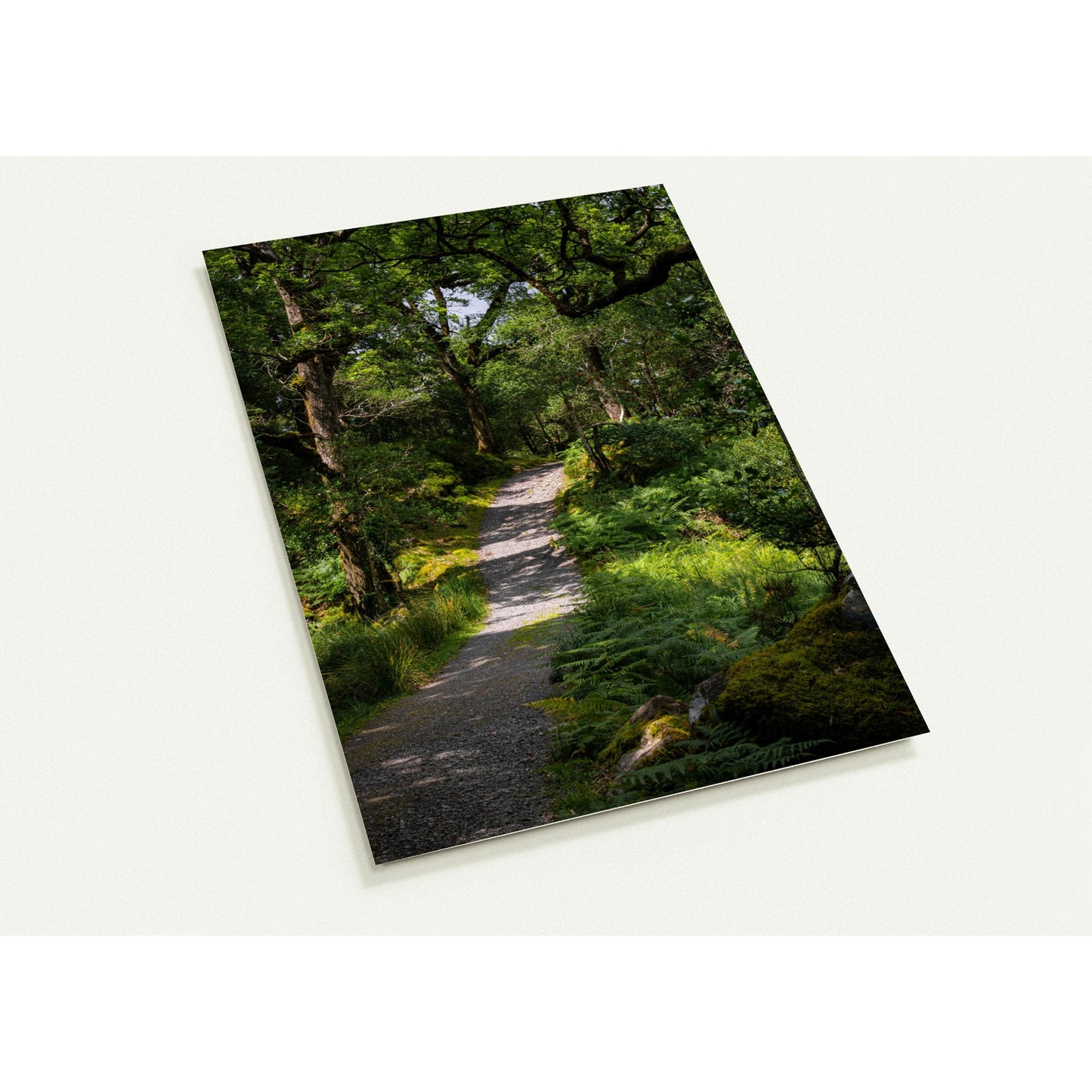 Waldweg im Grünen - 10er Set Ansichtskarten mit Umschlägen